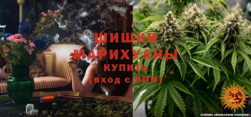 Конопля THC 21%  наркошоп  мега вход  Лесосибирск 